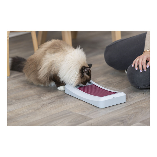 Trixie Cat Activity Rod Board zabawka edukacyjna dla kota 35x19,5cm
