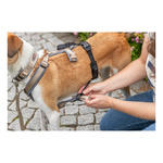 Trixie Adapter antyucieczkowy do szelek, dla psa, czarny, M-L: 46-72 cm/20 mm