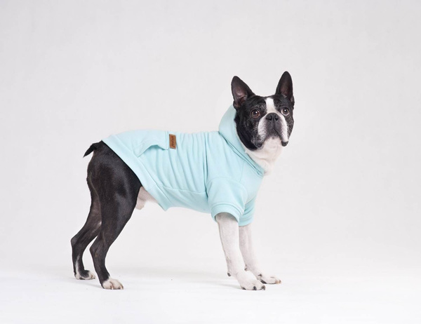 amiplay Bluza z kapturem dla Psa Texas 25cm Chihuahua Żółty
