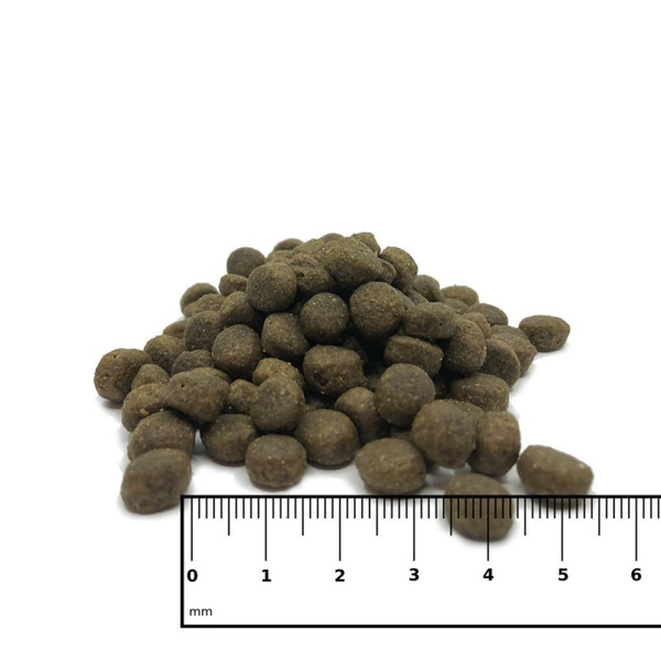 ICEPAW Puppy Junior śledź karma dla szczeniąt i młodych psów (2 kg)