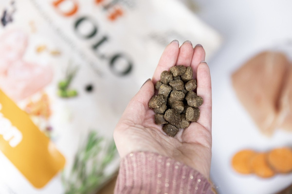 YDOLO Chicken - kurczak i ryby - półwilgotna karma dla psa (100g)