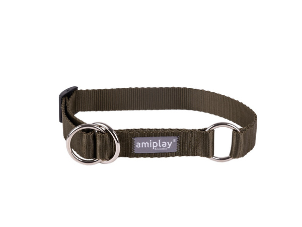 amiplay Obroża półzaciskowa Popular XL 40-60x2,5cm