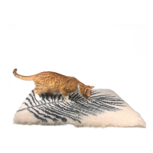 Zolux Dry bed posłanie izolujące dla psa wzór roślinny 50x70 cm kol. beż