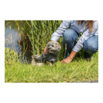 Trixie Szlafrok dla psa tkanina frotte XS 30cm