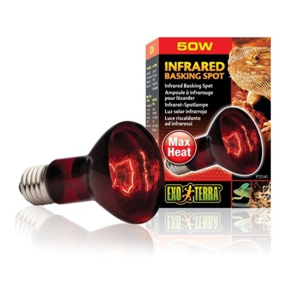 Eao Terra Żarówka Infrared Basking Spot R20/50W