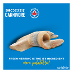 Schesir Born Carnivore karma sucha dla kotów dorosłych śledź i łosoś 255 g