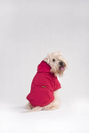amiplay Bluza z kapturem dla Psa Texas 25cm Chihuahua Żółty