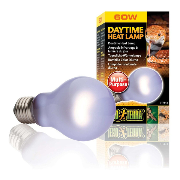 Eao Terra Żarówka Daytime Heat A19/60W