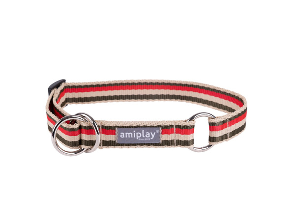 amiplay Obroża półzaciskowa Popular XL 40-60x2,5cm