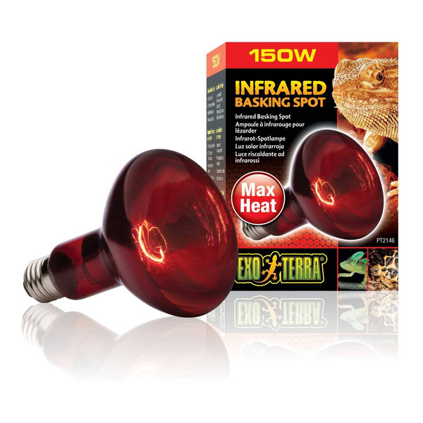 Eao Terra Żarówka Infrared Basking Spot R30/150W