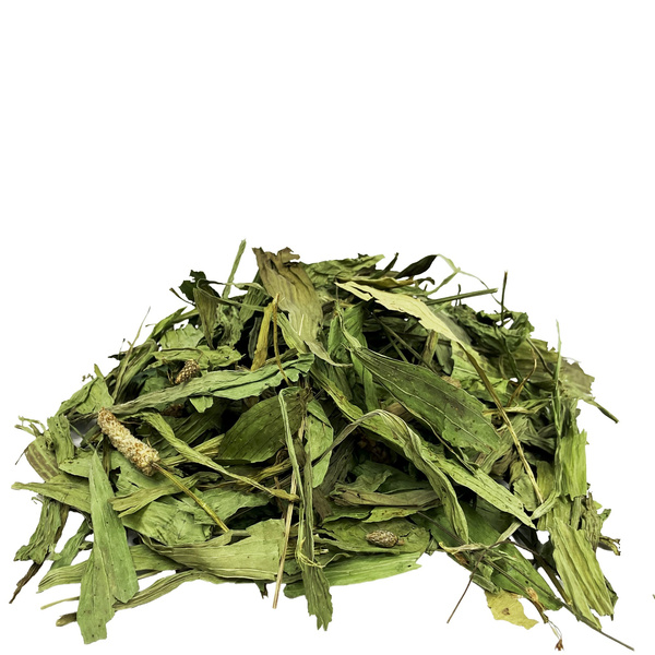 ProHerbs Liść babki lancetowatej 300g-odporność, trawienie i piękna sierść!