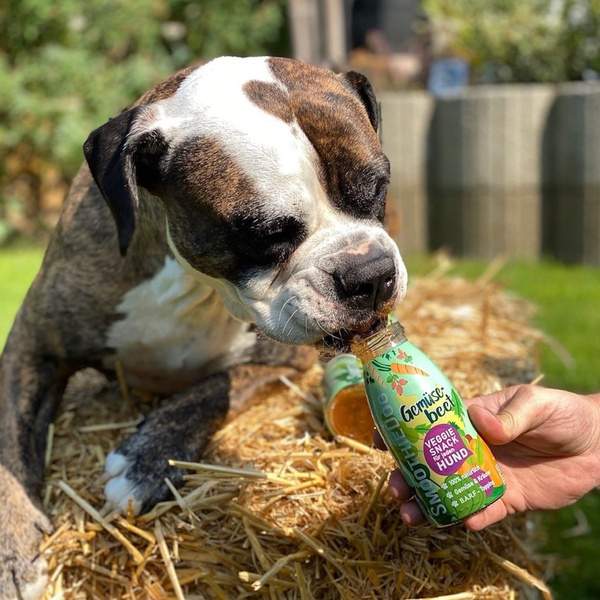 SmoothieDog Vege-Love - smoothie dla psa warzywa z ziołami (250ml)