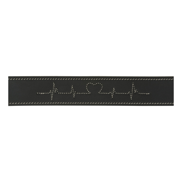 Trixie Rustic Heartbeat, obroża, dla psa, czarna, z grubej skóry, S-M: 34-40 cm/30 mm