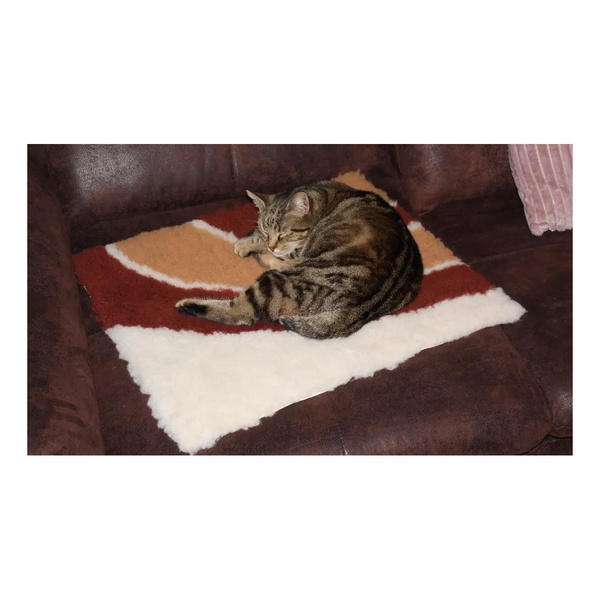 Zolux Dry bed posłanie izolujące dla psa i kota wzór tęczy 50x60 cm