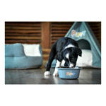 Zolux Miska antypoślizgowa dla psa PUPPY 16,5 cm 850 ml kol.niebieski