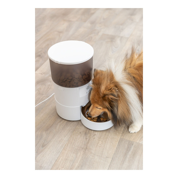 Trixie Karmidło automatyczne TX-S Smart, białe, 3.0l, 3 l/18 × 31 × 18 cm