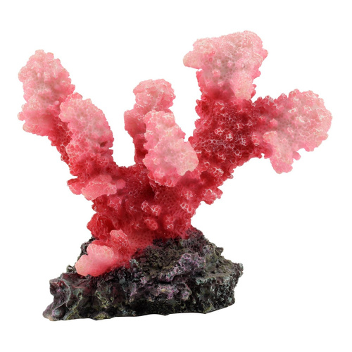 Aqua Natura Dekoracja akwarystyczna koralowiec różowy 11cm
