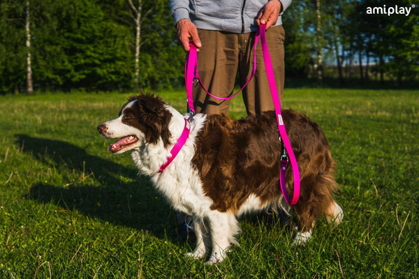 amiplay Obroża SAMBA regulowana L 35-50x2,5cm Szary