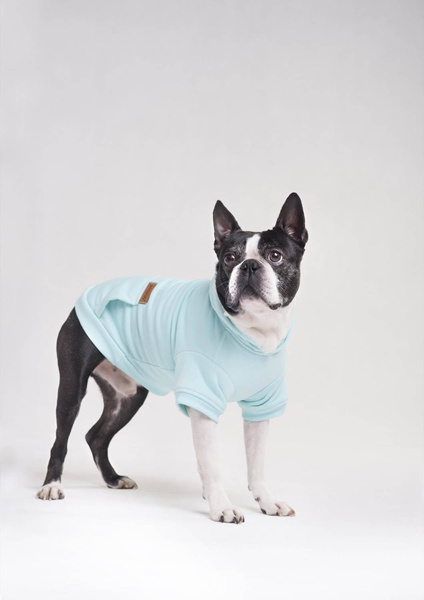 amiplay Bluza z kapturem dla Psa Texas 25cm Chihuahua Żółty