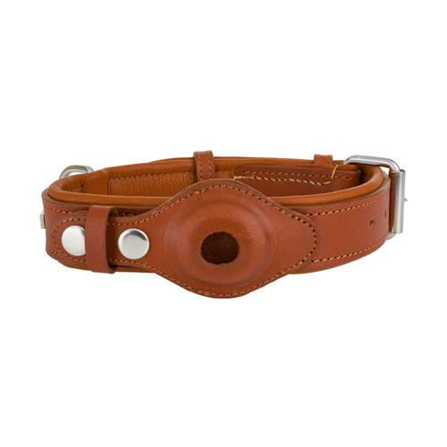 Barry King Obroża skórzana, M: 35-49 cm/30 mm, brązowy, z miejscem na lokalizator