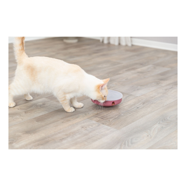 Trixie Cat Activity Rocking Maze, zabawka edukacyjna, dla kota, plastik, 18 cm
