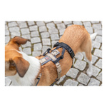 Trixie Adapter antyucieczkowy do szelek, dla psa, czarny, S-M: 38-57 cm/15 mm