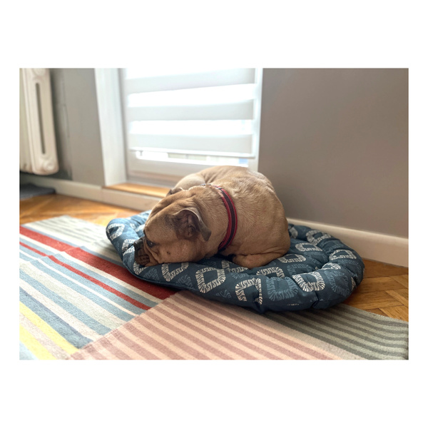 ZOLUX Poducha dla psa sleeper ONE SIRIUS 65cm