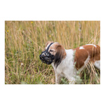 Trixie Kaganiec Muzzle Flex silikonowy L-XL czarny