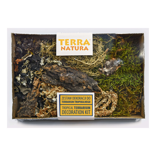 Zestaw dekoracji do terrarium tropikalnego