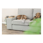 Trixie Szop, zabawka, dla psa, materiał/plusz, 33 cm, z dźwiękiem