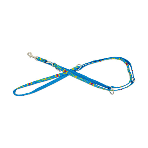 Barry King Smycz dla psa, wzór etniczny, regulowana, taśma polipropylenowa, 25mm/220cm błękitna