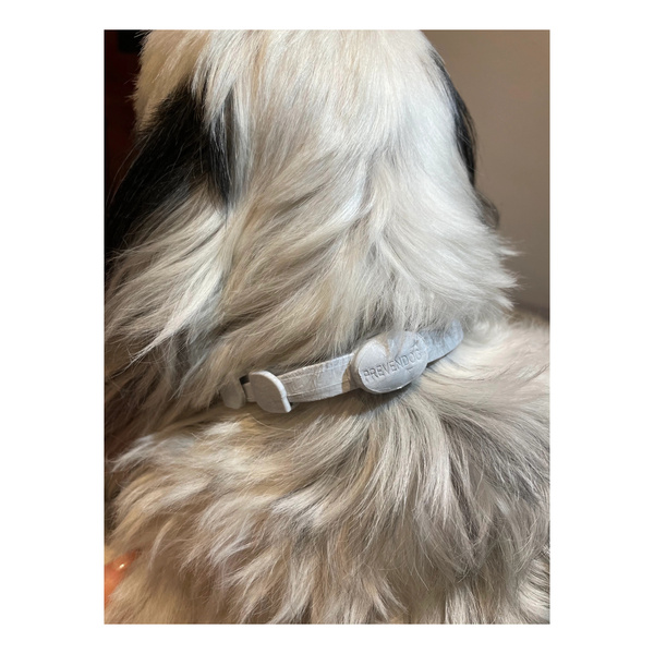FRANCODEX PL Obroża na kleszcze PREVENDOG 35 cm dla psów do 5 kg - 1 szt