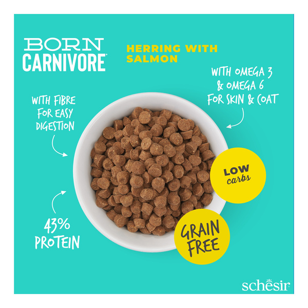 Schesir Born Carnivore karma sucha dla kotów dorosłych śledź i łosoś 255 g