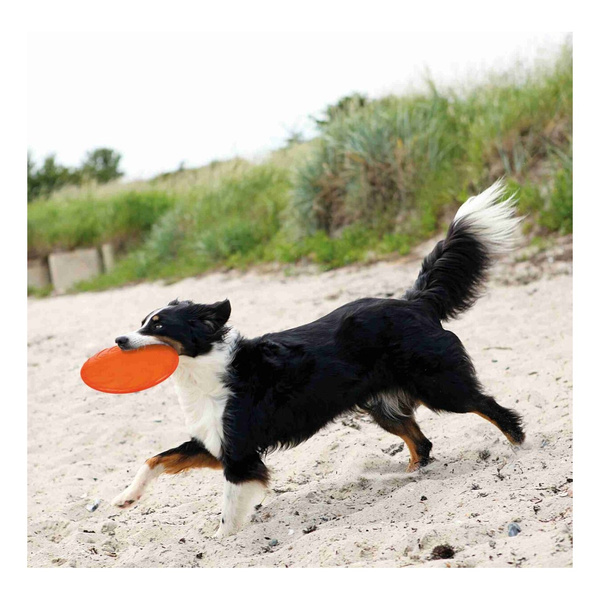 Trixie DYSK FRISBEE d/psa TERMOPLASTYCZNY TPR 18cm