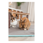 Trixie Patyki, zabawka, dla gryzoni, tykwa, drewno i wodorosty, 10 × 3 cm, 2 szt/opak