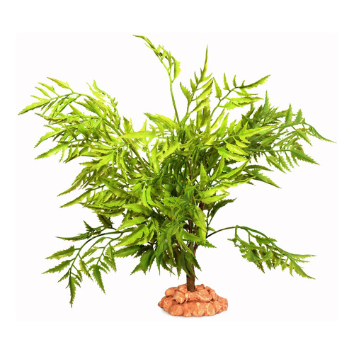 Terra Natura Dekoracja terrarystyczna roślina pustynna na podstawce wielka 40cm