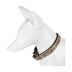 Barry King obroża dla psa, tiger, 16mm /41cm