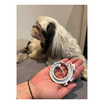 FRANCODEX PL Obroża na kleszcze PREVENDOG 35 cm dla psów do 5 kg - 1 szt