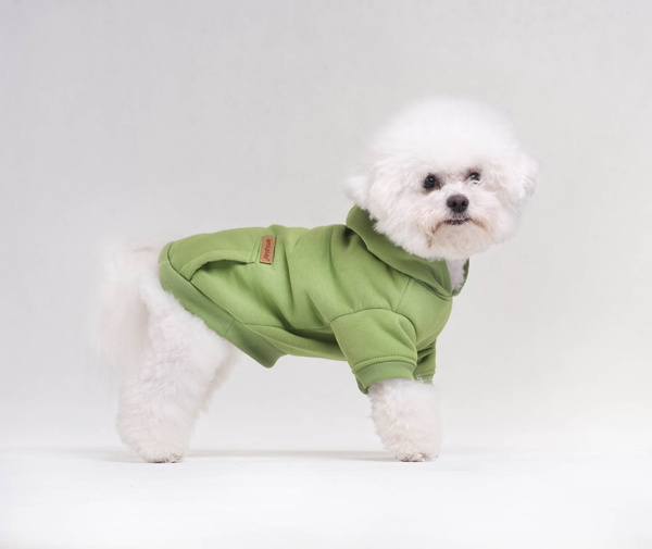 amiplay Bluza z kapturem dla Psa Texas 25cm Chihuahua Żółty