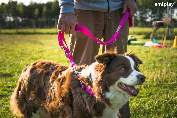 amiplay Obroża SAMBA regulowana S 20-35x1,5cm Różowy