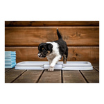 ZOLUX Kuweta do nauki czystości dla psa Puppy Trainer 40 x 60 x 4 cm