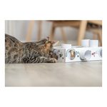 Trixie Cat Activity Paws'n'Treats Box, zabawka edukacyjna, dla kota, karton, 35 × 7 × 20 cm