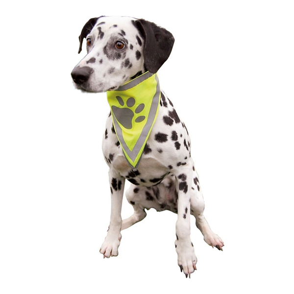 Trixie BANDAMKA ODBLASKOWA dla psa 22-28cm neonowa