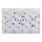 Trixie Zabawka dla kota Cat Activity Fun Board