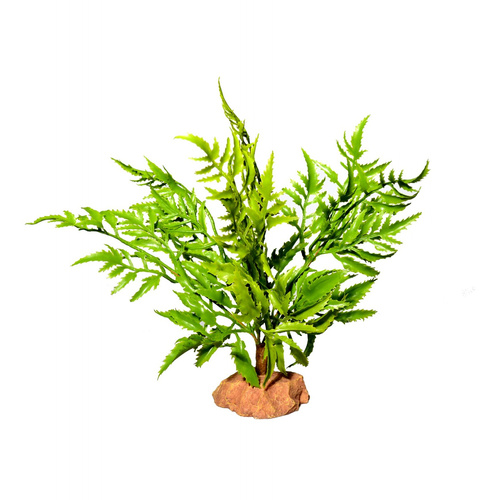 Terra Natura Dekoracja terrarystyczna  roślina pustynna na podstawce duża 29cm