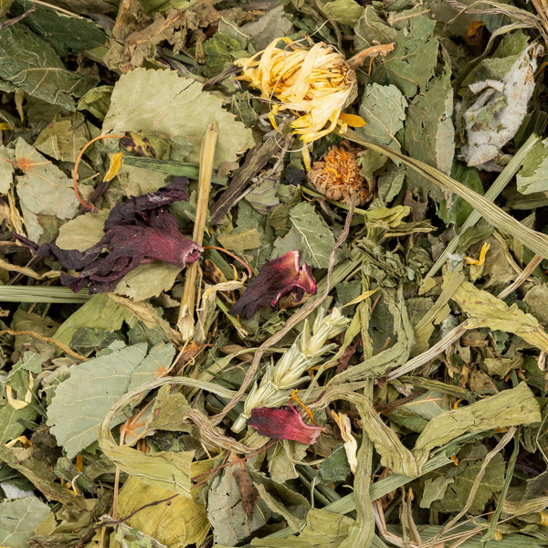 Vitapol Vita Herbal Functional mix regulujące trawienie dla gryzoni i królika, 300g