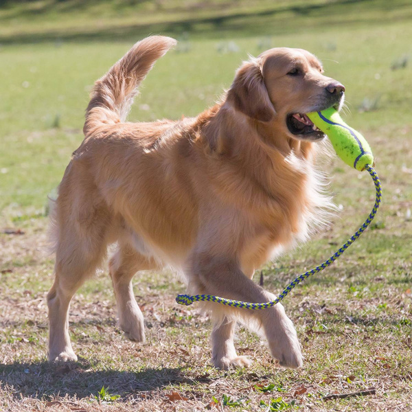 KONG Zabawka AKFS1E AirDog Fetch Stick w/rope L