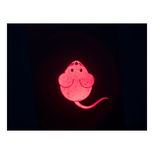 Trixie Wskażnik LED Catch the light, mysz, USB, 8,5 cm