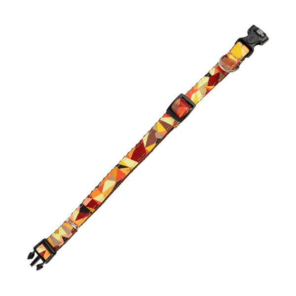 Barry King obroża dla psa, wzór jesień, taśma, 16mm/30-47cm brązowa