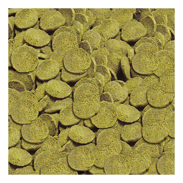 Sera Catfish Chips Nature 1.000 ml - pokarm dla bocji i ryb sumokształtnych